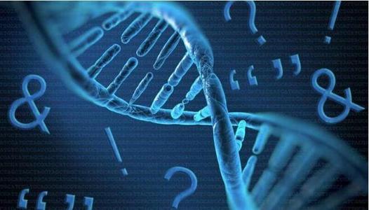 上戶(hù)口親子鑒定流程有那些呢？